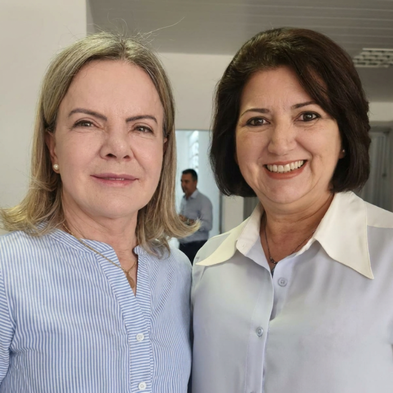 Gleisi e Lenir participando da oficina de mobilização digital do campo progressista do Paraná, realizada de forma remota.